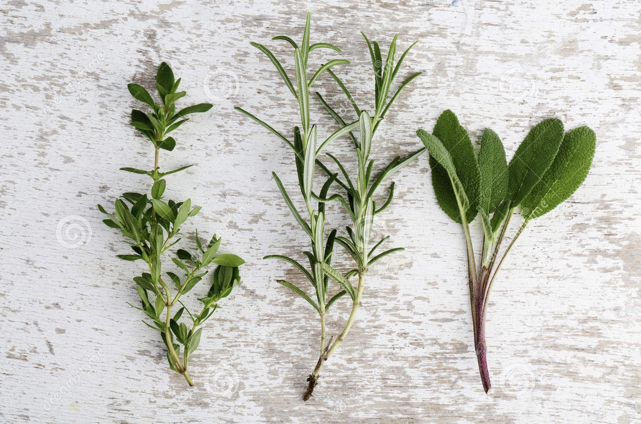 assorted-fresh-herbs-single-twigs-thyme-sage-rosemary-oregano-wooden-board